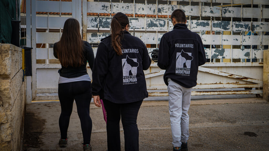 dsc08614_54359304203_o