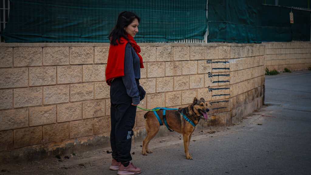 dsc08633_54359076936_o