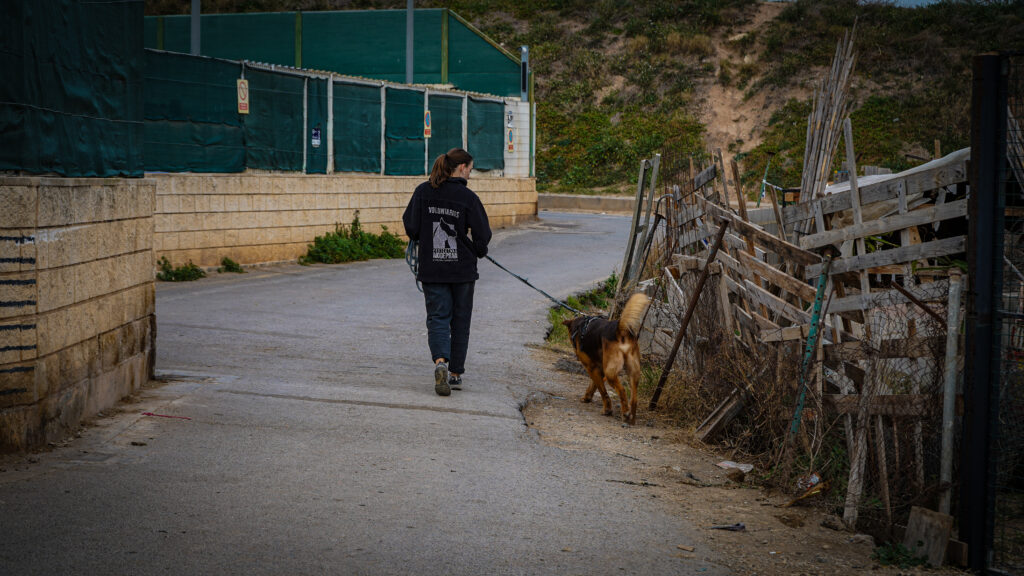 dsc08643_54358203932_o