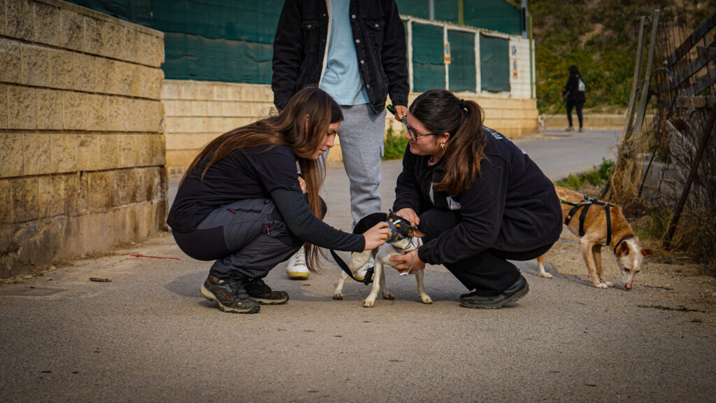 porque realizar donacion a modepran 2